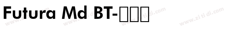 Futura Md BT字体转换